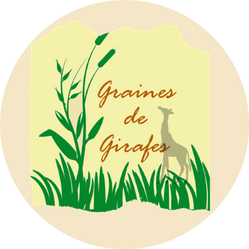 Graines de Girafes